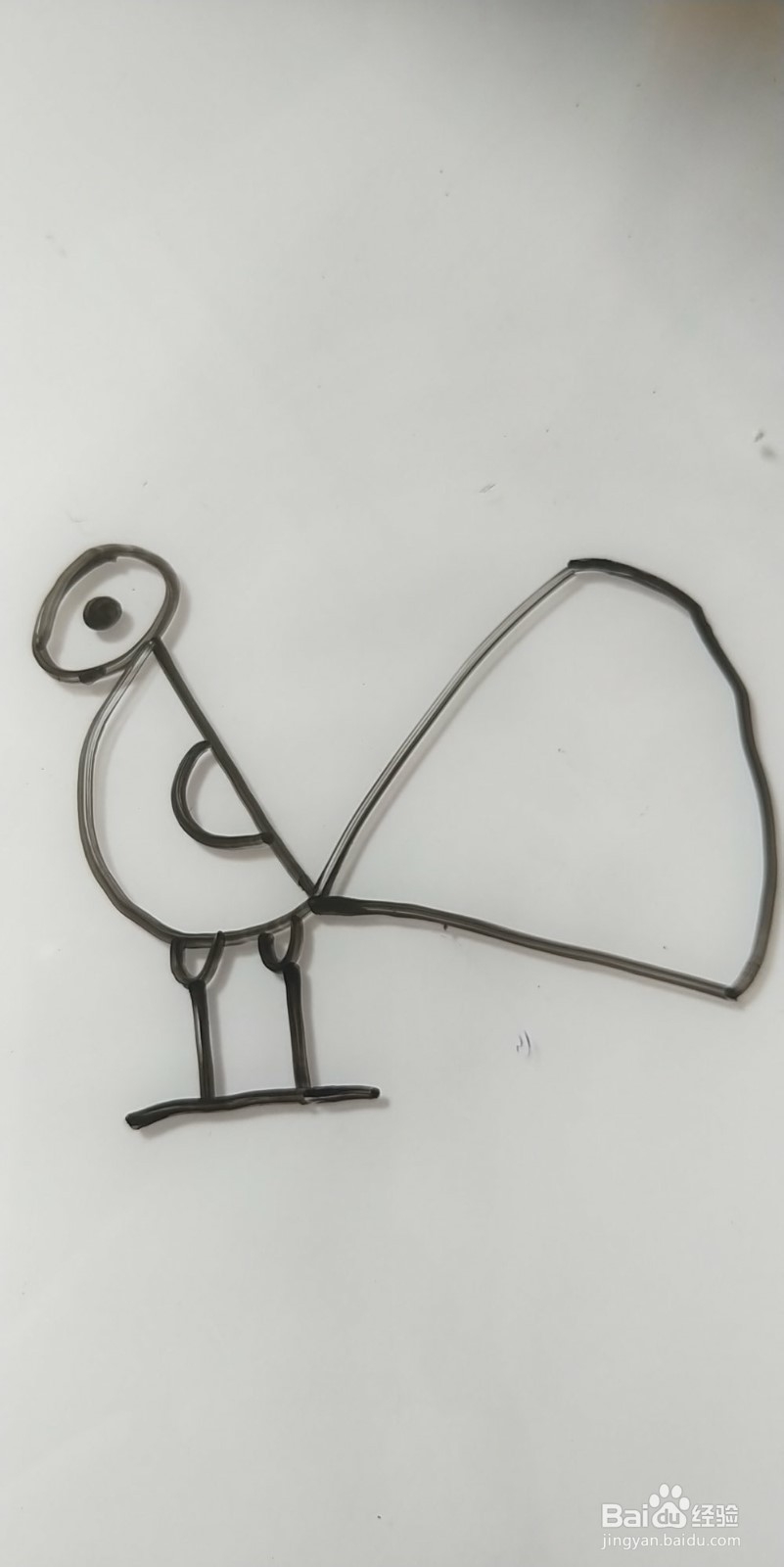 怎么画简笔画孔雀？