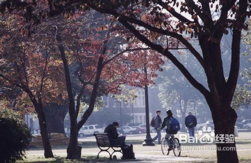 美国阿拉巴马农工大学奖学金如何申请