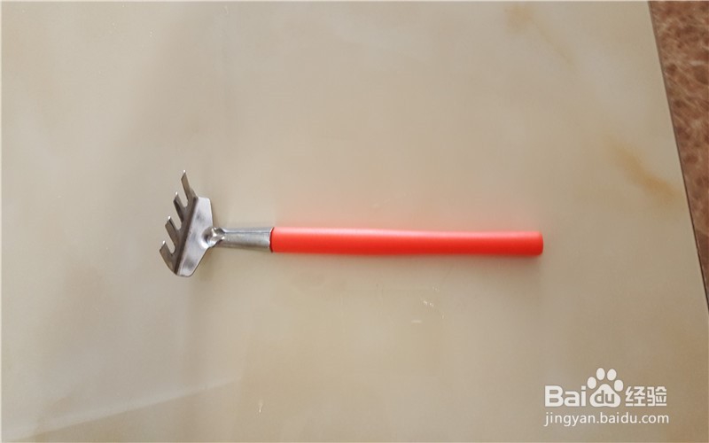 我为什么爱养花