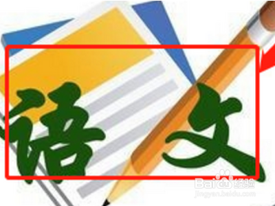 高中怎么选科比较好