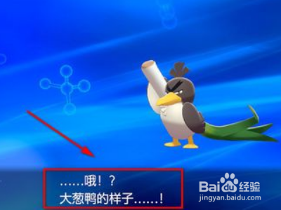 大葱鸭怎么进化