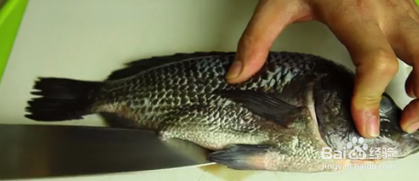 如何用烤箱烤鱼