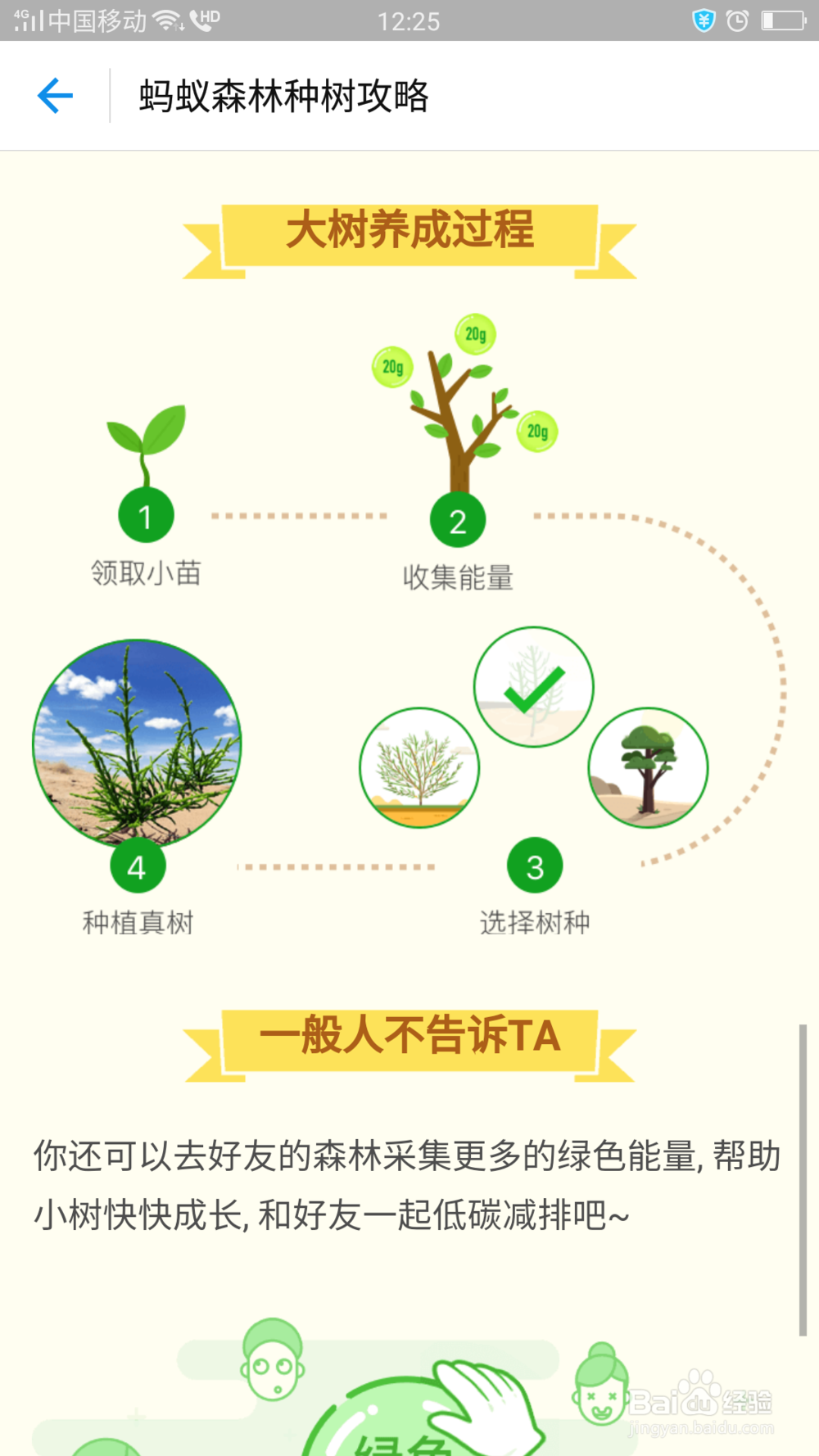 支付宝里面怎么用蚂蚁种树