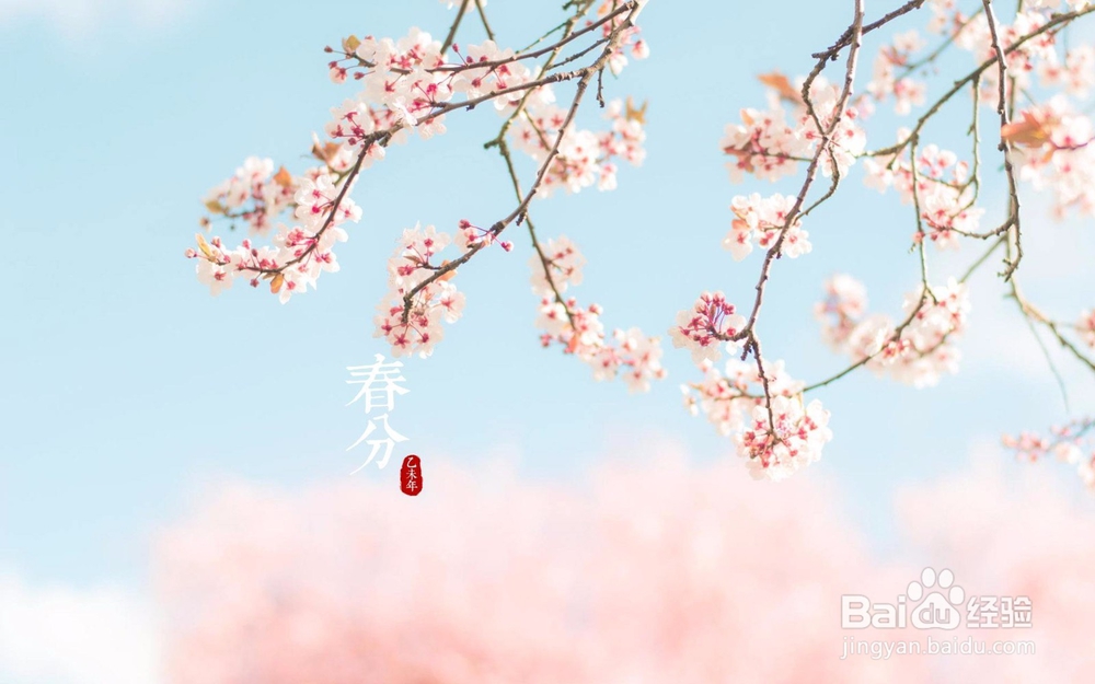 春分养生应注意什么？