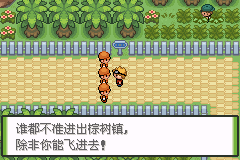 口袋妖怪釉色攻略（56）