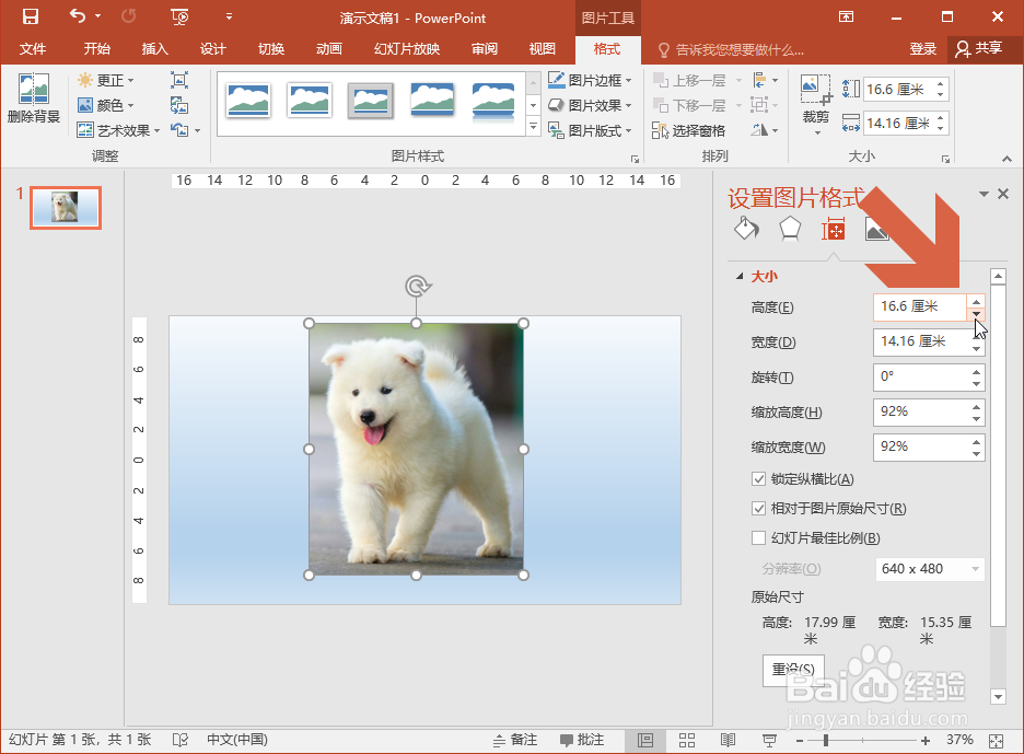 PowerPoint2016缩放图片时怎么让图片不变形