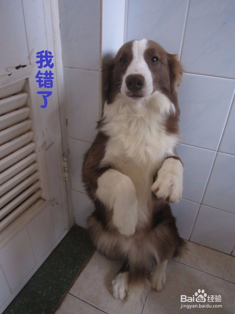 怎么让自己更长寿呢？