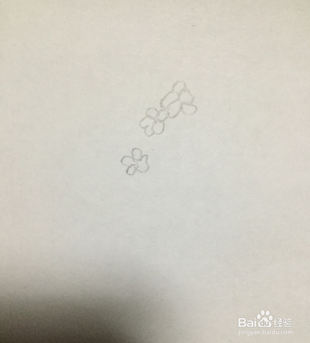 怎么画三聿花的简笔画
