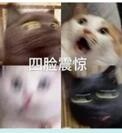 如何选择溶脂针才能有效减脂呢？