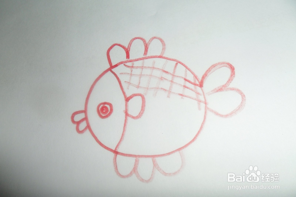 简笔画小鱼儿