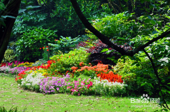 泉州周边公园有哪些