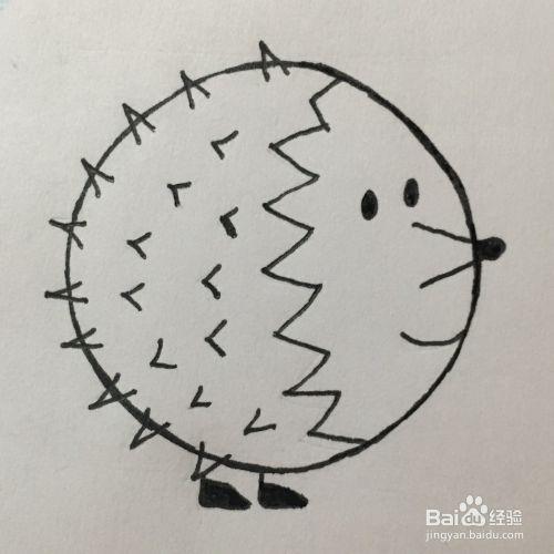简笔画一只圆圆的刺猬怎么画？