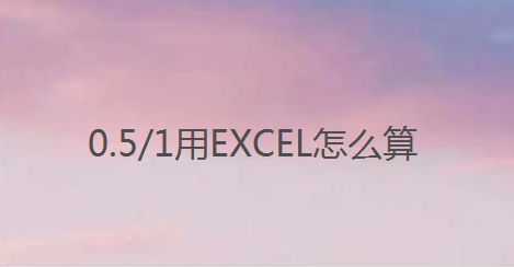 0.5/1用EXCEL怎么算