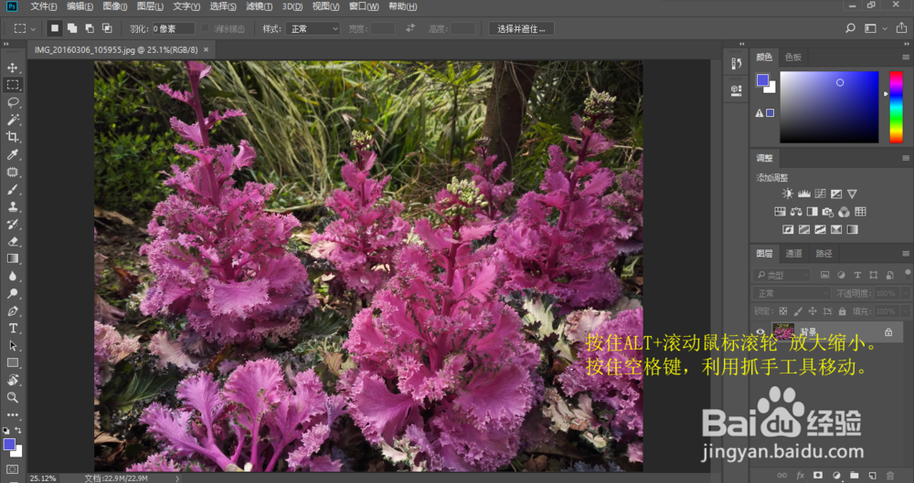 PS中曲线怎么调整