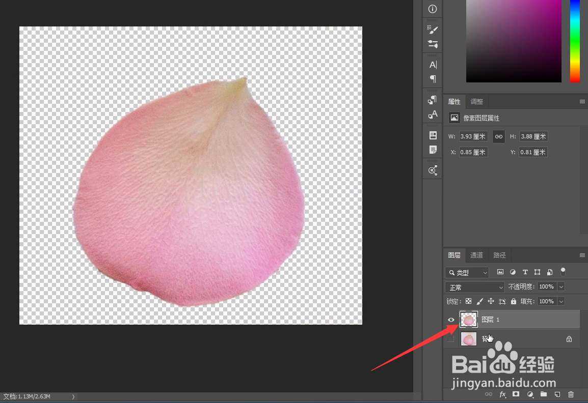 PS怎样制作花瓣画笔预设批量画花瓣
