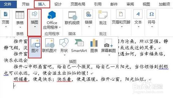 word2013文档怎么插入图片