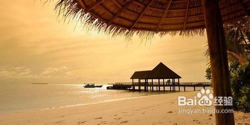 马尔代夫罗宾逊岛攻略2012