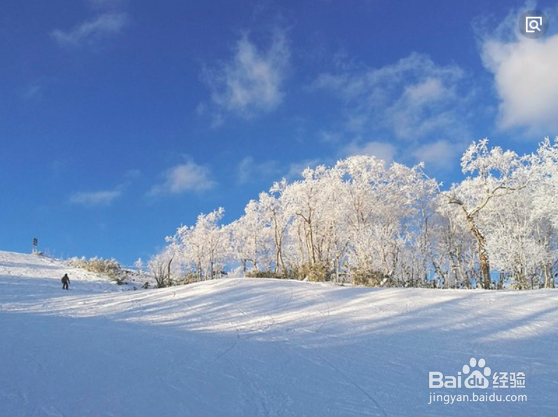 留寿都滑雪场怎么到洞爷湖