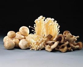 丰胸小秘籍,丰胸零风险,效果看得见