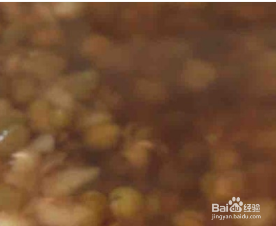 解暑绿豆汤怎么做