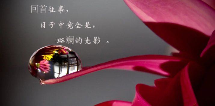 时光流逝的诗句