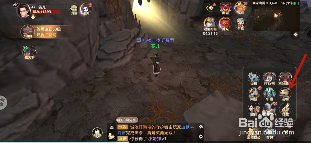 战国记手游怎么喂养宠物