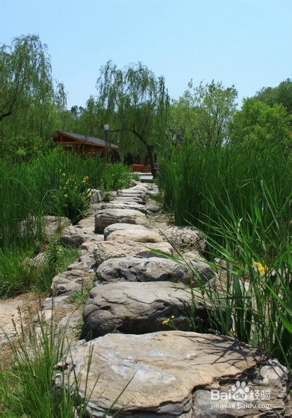 北京旅游攻略：[22]海淀公园