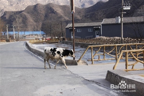 北京旅游攻略：[19]龙门口一线天