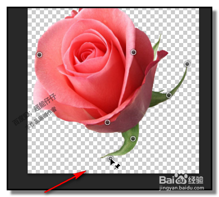 PS中，操控变形怎样用？