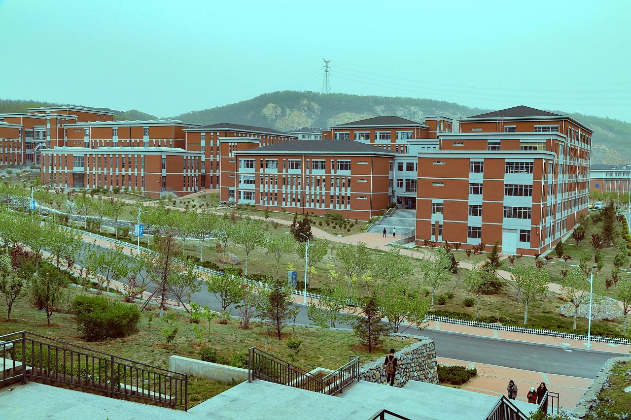 大连艺术学院是民办吗 可不可以自费