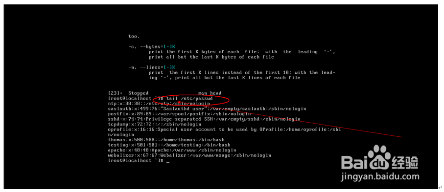 Linux之head、tail、grep、cut等命令详解