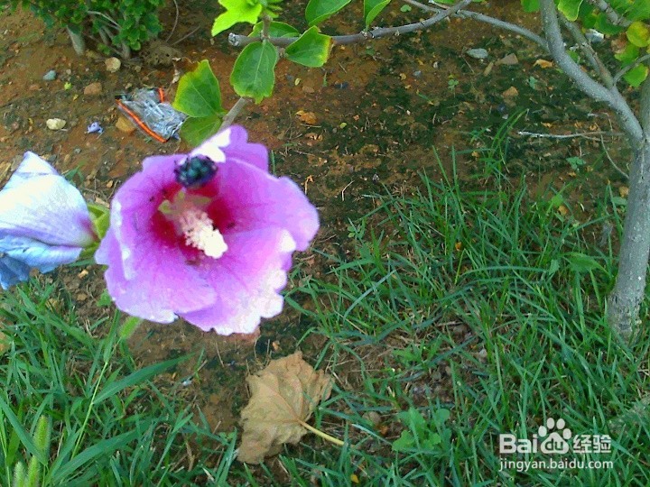 不同的画面怎样拍的更清晰