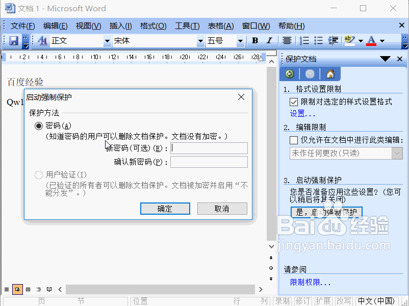 Word2003怎么限制文档的格式设置