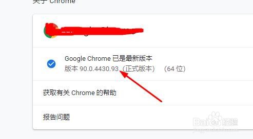 Google Chrome如何查看版本号