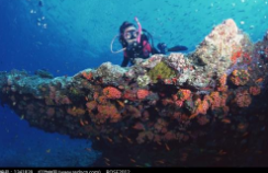 潜水的常见问题