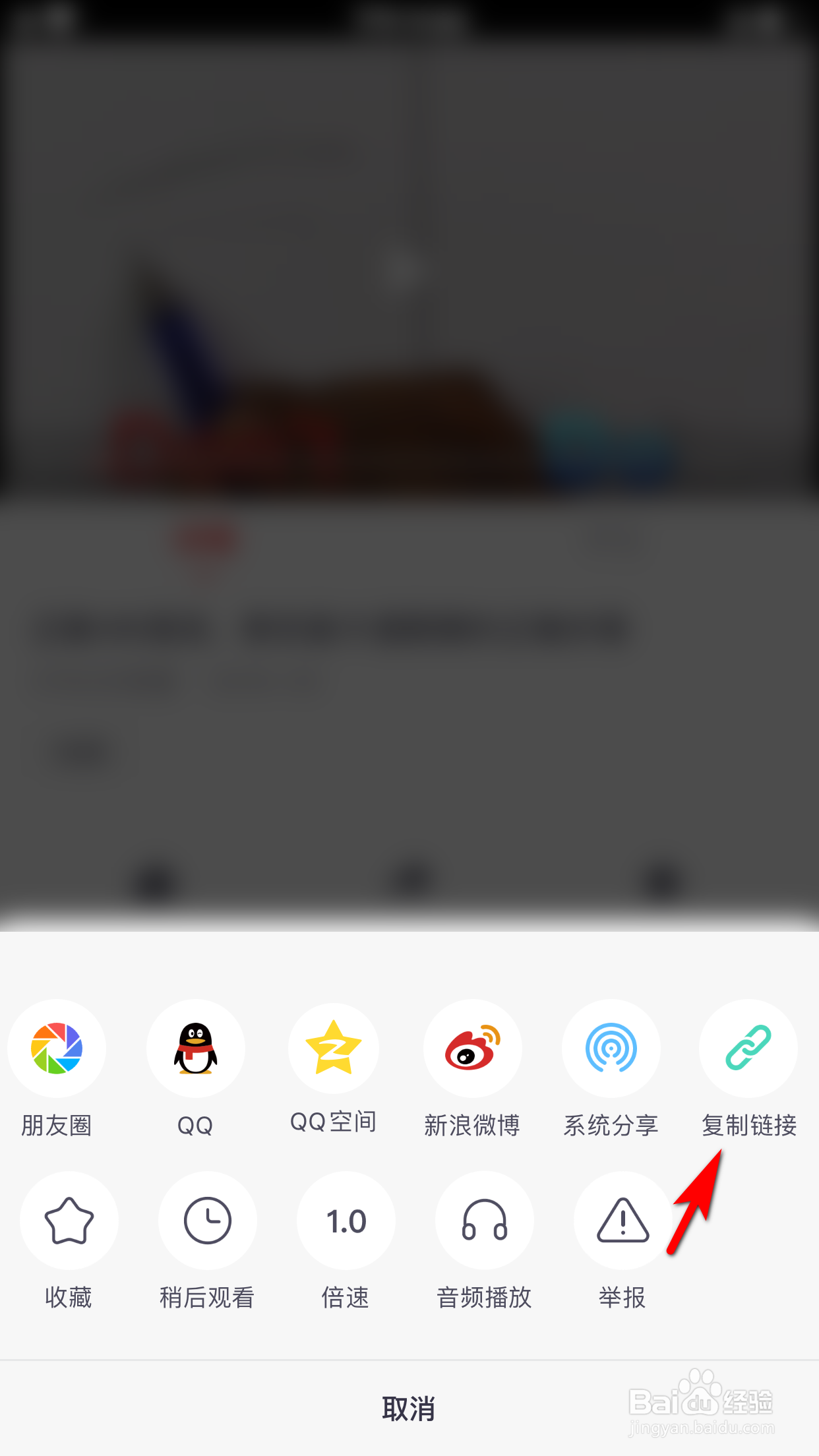 油果怎么复制视频链接