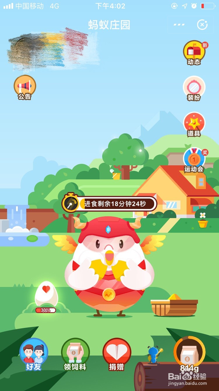 蚂蚁庄园中如何养小鸡