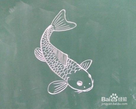 鱼的画法教程 11 怎么画 如何画鱼 画鱼方法 百度经验