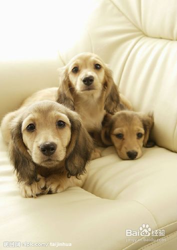 怎样快速消除过敏性鼻炎