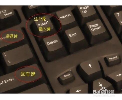 WORD打字后面的字消失怎么办？要修改插入与改写