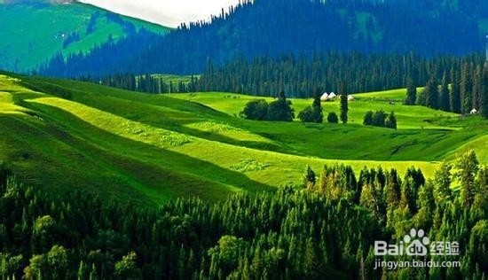 新疆自助游美景攻略,一篇就够了!