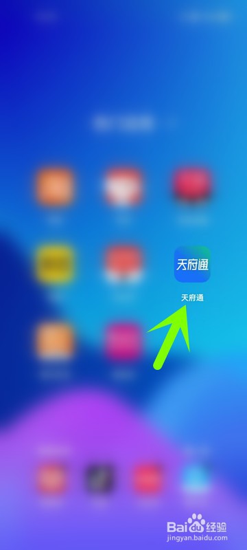 怎么在天府通APP中查看出账总额