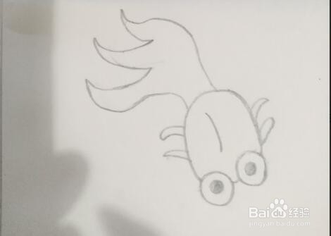 简笔画如何画金鱼？