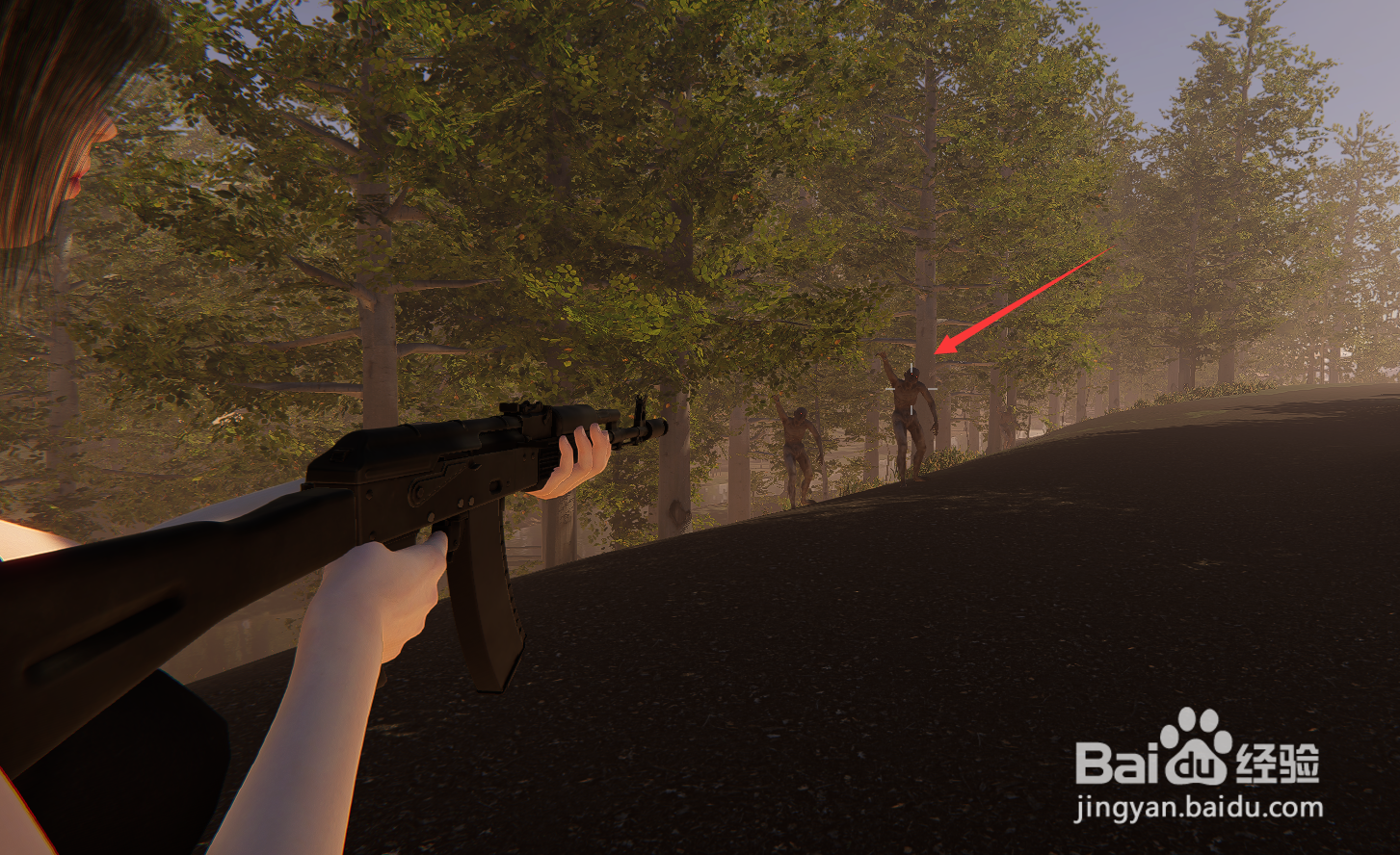 圣光绽放游戏攻略