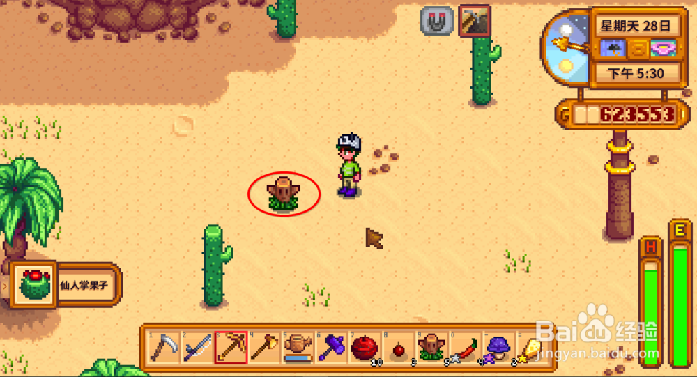 星露谷物语传送图腾怎么用 星露谷怎么传送回家