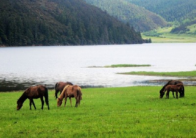 香格里拉初冬旅游指南