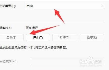 Windows11如何启用发现网络设置
