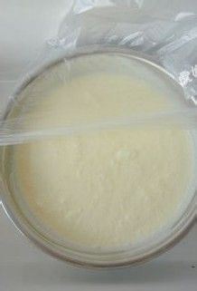 奶油冰淇淋--家庭奶油冰激凌DIY！