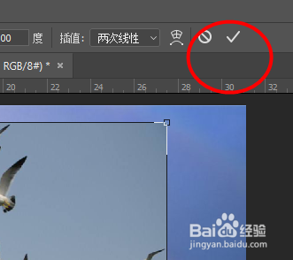 Photoshop如何在彩虹中放上鸟