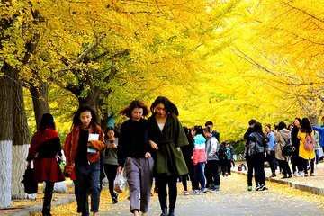 高中生刚刚进入大学一般会有什么事情